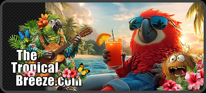 Download tropical music from The Tropical Breeze