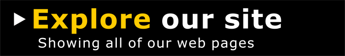 Explore our website  www.MadDog.Music