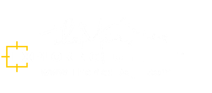Greetings from The Mad Dogs